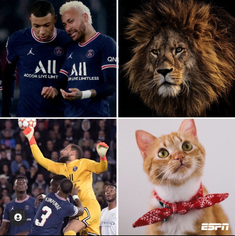 Jhonpsnts's tweet photo. 🤣🤣🤣🤣🤣🤣 é isso ou não !?🤔 https://t.co/5n9a4Dcm9d