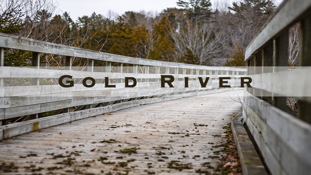 Cattle Dogs & Company tweet media