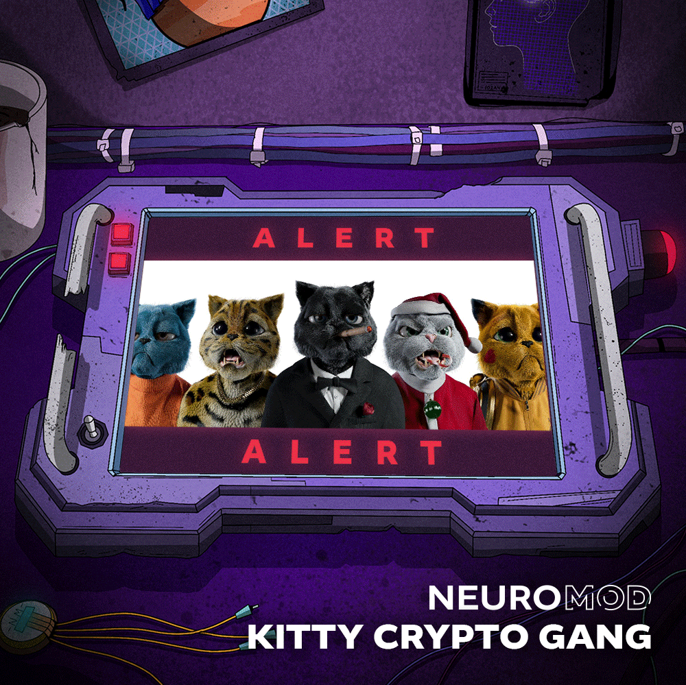 KittyBox by KCG tweet media