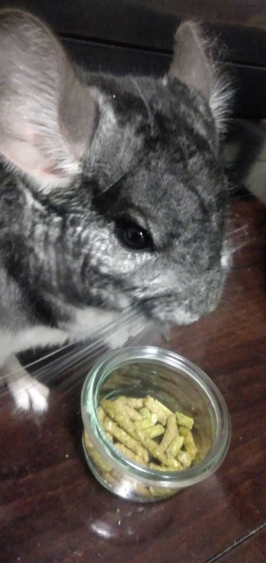 サキ パン チンチラ 寛太 Kantachinchilla Twitter