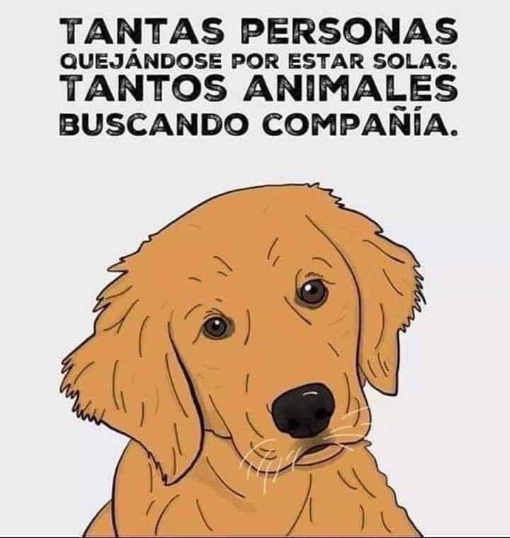feerlapelirroja's tweet photo. https://t.co/aunjR72wy8