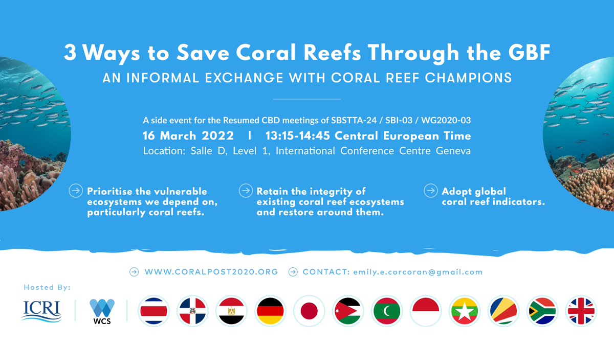 WCSocean's tweet photo. There are 3 actions we can take, now, to save coral reefs through the #Post2020 Global Biodiversity Framework.

Join us and over a dozen partners in a conversation around what we can do #ForCoral to safeguard ocean biodiversity and livelihoods around the world 🌊 https://t.co/w1Z7pjLwWQ