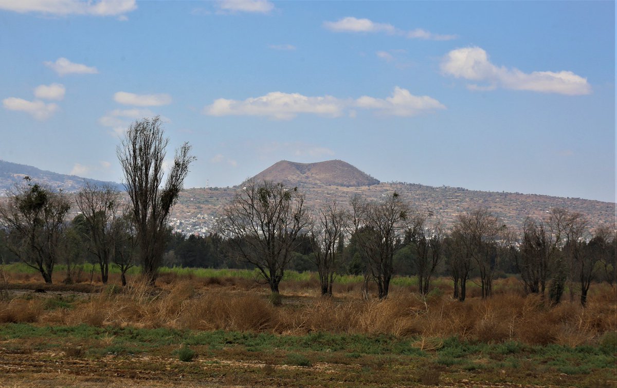 EspejoTlahuac's tweet photo. #Tlahuac tiene en sus fronteras algunos territorios ejidales de Milpa Alta, Xochimilco, Chalco e Iztapalapa
#Tulyehualco tiene parte de su ejido junto al de Mixquic, Ixtayopan y Tláhuac, donde alguna vez existió el #LagoDeChalco
Puerta de entrada a la región de los volcanes👇🏽 https://t.co/YvmyqmXfCT