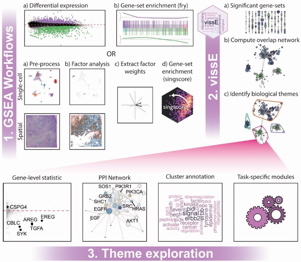 Our new tool, vissE, allows you to summarise pathway enrichment results from 1000s of pathways to a few biological themes that can aid in a holistic interpretation of biological systems. We also present a novel workflow to apply it to single-cell and spatial transcriptomics data.