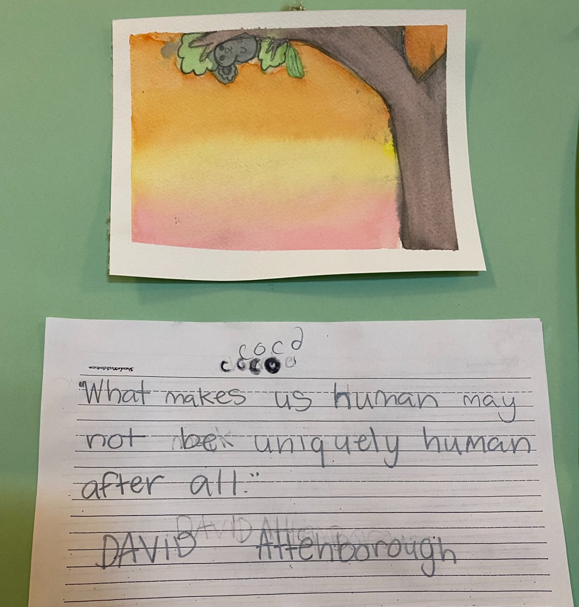 Wingra School tweet media