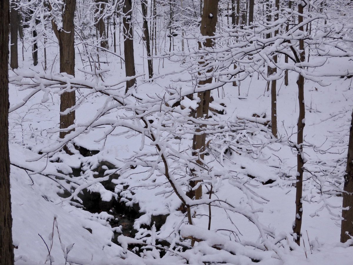 zebeszebra's tweet photo. At least it looks pretty. For now. #NotQuiteSpring https://t.co/n5Fknnv9ZO