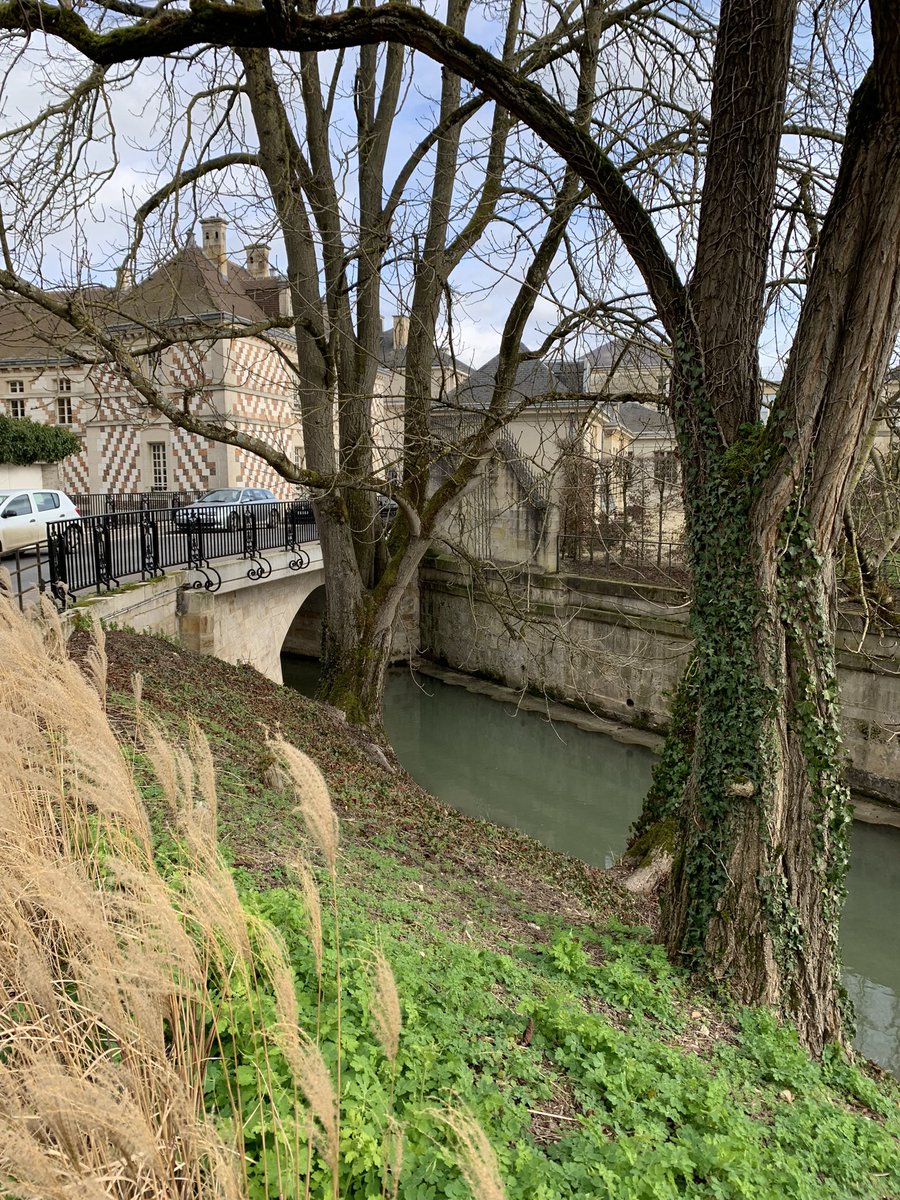 ASurmelin's tweet photo. #rivières et #coursd’eau que nous aimons : Le Mau à Châlons en Champagne, le long de l’ancien couvent Sainte Marie. @ChalonsAgglo https://t.co/lOVJic9YDI