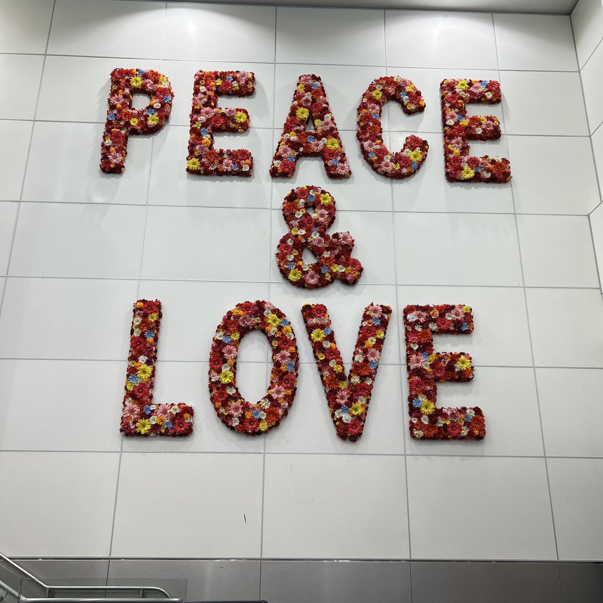 janoldenburg's tweet photo. Leaving Miami, I wish this “Love and Peace” image was more than a sign on the airport wall. I wish it was the reality across our world. Sending hope and strength to all who are suffering in its absence https://t.co/1KCf38ZNro