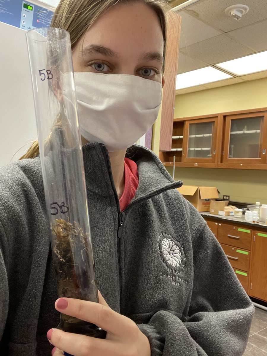 apeyton_smith's tweet photo. Congratulations to Jillian Sanders, MS student of Julie Loisel @tamugeography, for passing your defense: Arctic mineral soils lose SOC more easily than peat soils. Thanks for letting me serve on your committee. #soil #soilcarbon @jillsands98 
(2 defenses down, 1 more to go!) https://t.co/hSBJpjauXT