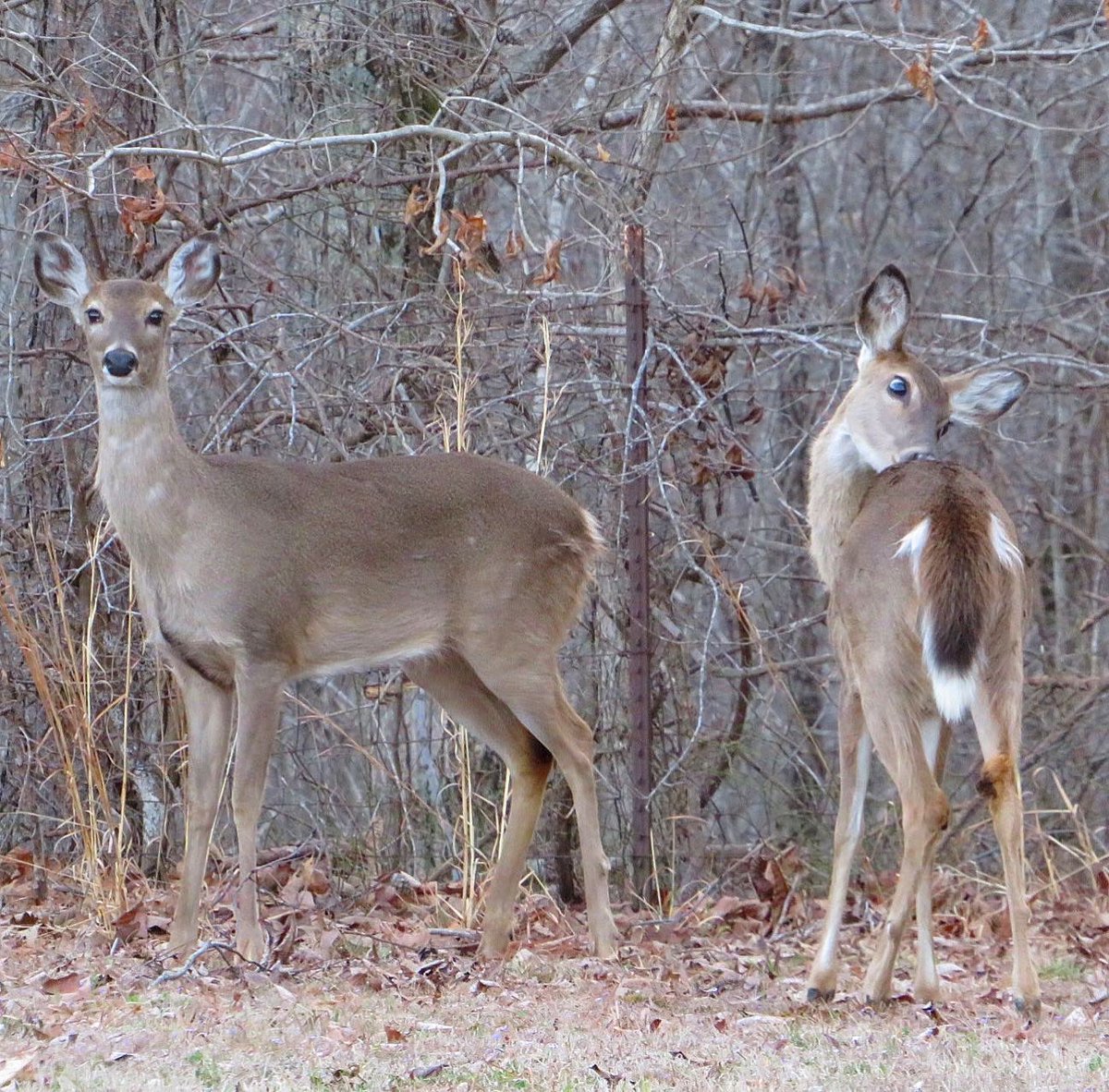 BRNidBAMAgrl's tweet image. #cameraplay