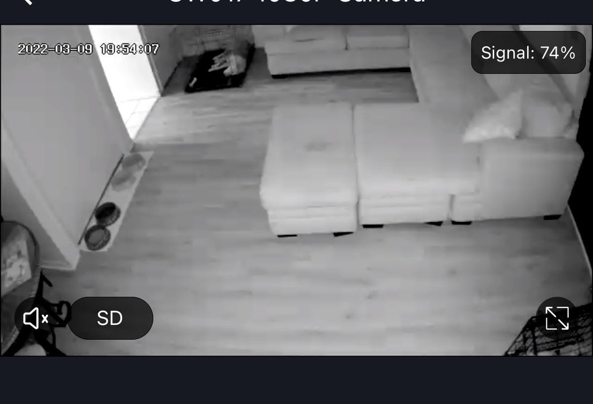 This is how mom watches us while she works from home or if we go to our kennels while she works out🐶🐶🐶 extension cord used to get the full view. Check this item out on our site! furryfriendlover.com