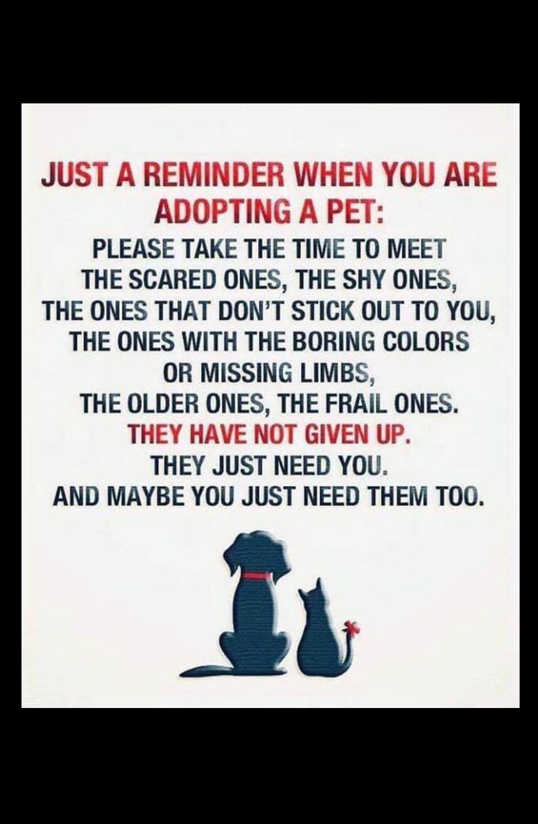 ❤️ I think we need to post this at our entrance...so true...#AdoptDontShop #cats #CatsOfTwitter #adoptme #shelter #rescue #rescueanimals #RescueDogs #wednesdaythought #ThursdayThoughts #pets