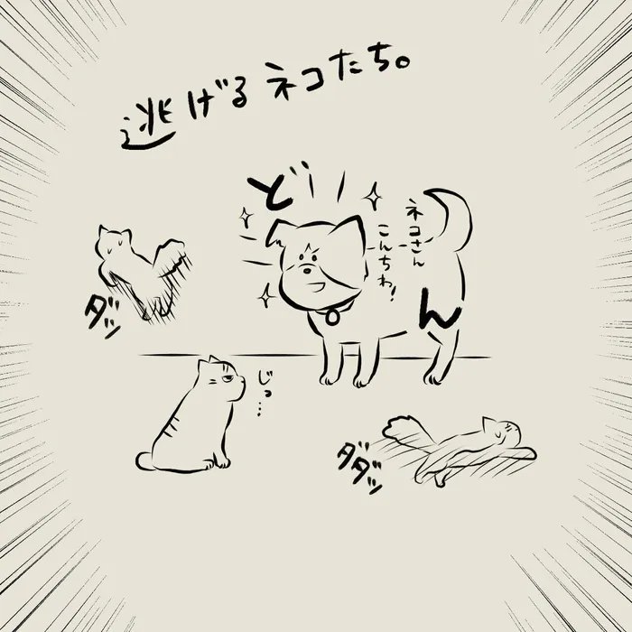 かつてはバリバリに警戒心が強かった元野良猫が、突然やってきた犬に対しては驚きの反応を!!【連載】交通事故にあった猫を拾いました#56|ねこのきもちWEB MAGAZINE https://t.co/iPTTByRo5D