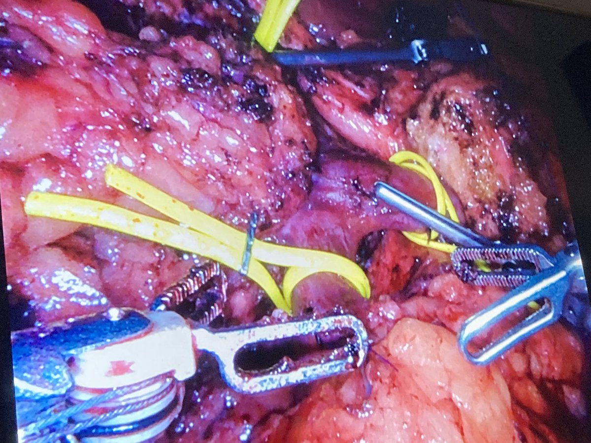 Charles C. Vining, MD tweet media