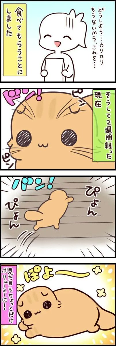 美味しいものを食べると元気いっぱいになるのは猫も人もいっしょ【連載】もふもふスコたん#216|ねこのきもちWEB MAGAZINE https://t.co/ECeASGfNXp