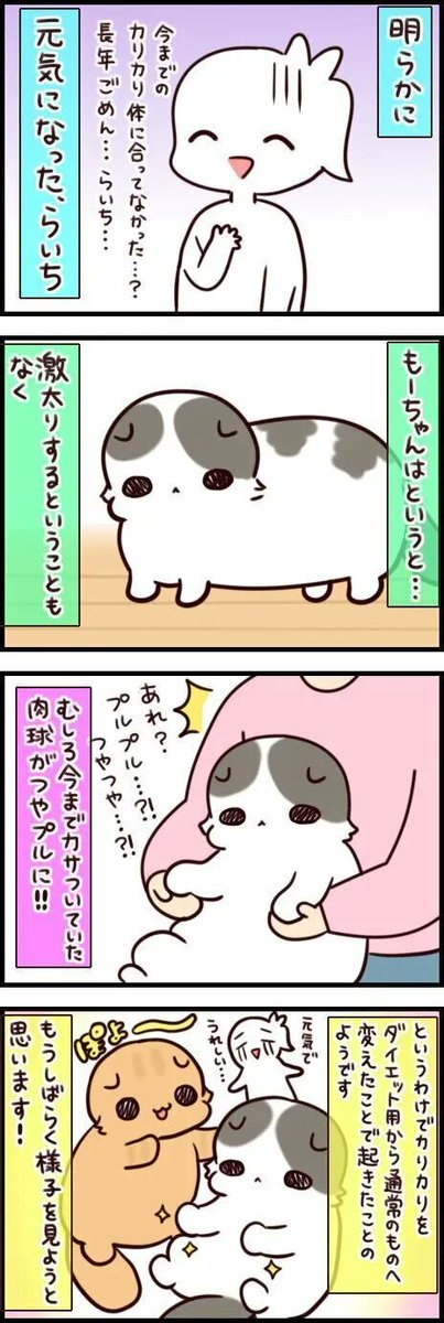 美味しいものを食べると元気いっぱいになるのは猫も人もいっしょ【連載】もふもふスコたん#216|ねこのきもちWEB MAGAZINE https://t.co/ECeASGfNXp