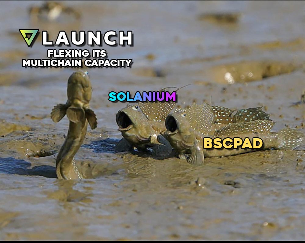 miner_aa's tweet photo. @Jedd37202482 I always invested through launchpads in projects so I can be there since day 1 and have a better profit margin.

A good option for this would be @VLaunchCOM which is a multi-chain launchpad and this would offer a wide range of projects. https://t.co/CjMOcQsory