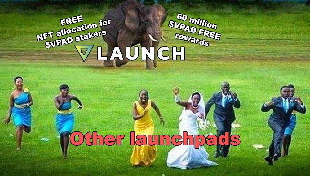 miner_aa's tweet photo. @CryptoNftGemApe I could call @VLaunchCOM launchpad a 💎 for all the value provided through $VPAD staking rewards.

staking rewards:
- free NFT &amp; IDO allocations
- decent APY https://t.co/W0fHiGzbAY