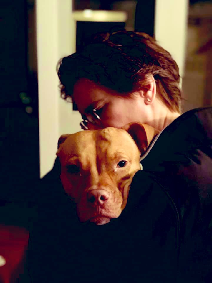 PheoSurgeon's tweet photo. Puppy love and comfort. #Pupsicle #SurgicalDogs #Pitbulls are the best dogs! @Jasosamd @UCSFSurgery https://t.co/v5SFpvvnQo