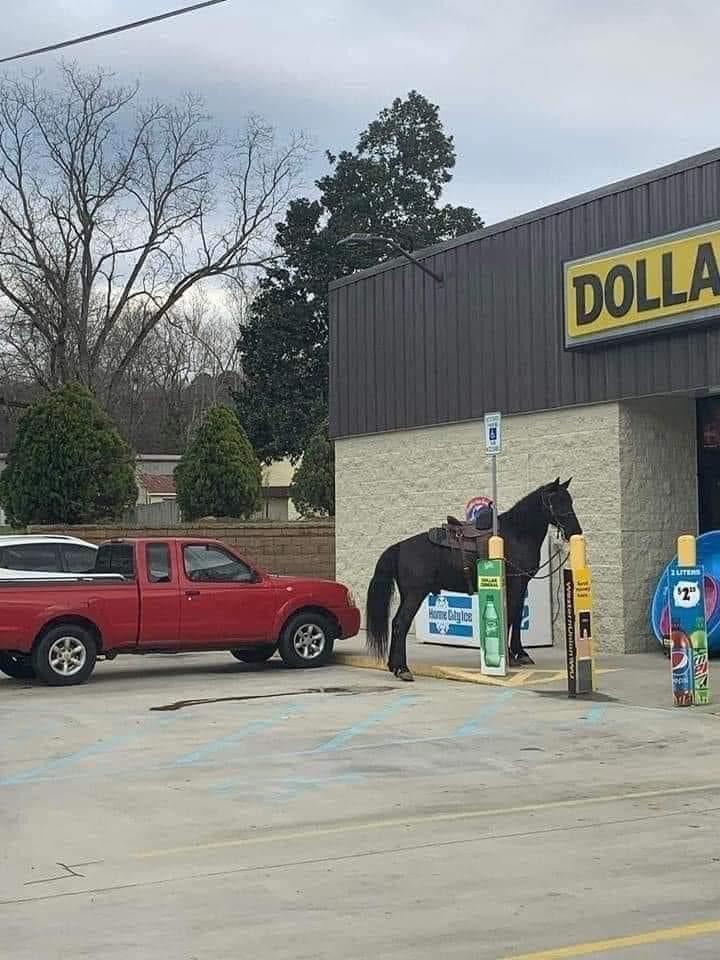 NotthatKaren21's tweet photo. Here’s what it’s come to in Kentucky, how y’all doin?!
#NoGasNeeded
#NoShitsGiven https://t.co/Vu9LdjMCiL