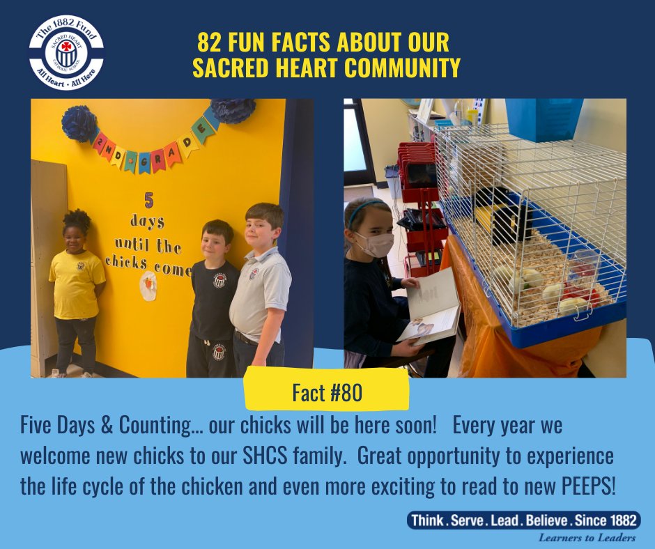camilebte's tweet photo. Fact #80 of the 82 Fun Facts of our SHCS Community! 🧐🐬
Let the Countdowns Begin … 5 more days til we meet our baby peeps!🐣🐥
ONLY 3 MORE Days to donate to The 1882 Fund & show your support of SHCS. Campaign ends 3/11. https://t.co/YiNHtigrir #shcsdolphins #140SHCSstrong💪🏻❤️ https://t.co/KjtDfhqFhB