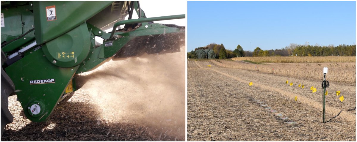 Rama Yadav tweet media