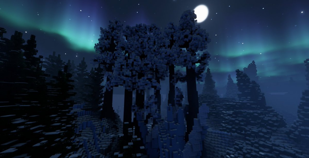 Winter Bears 🐻‍❄️ tweet media