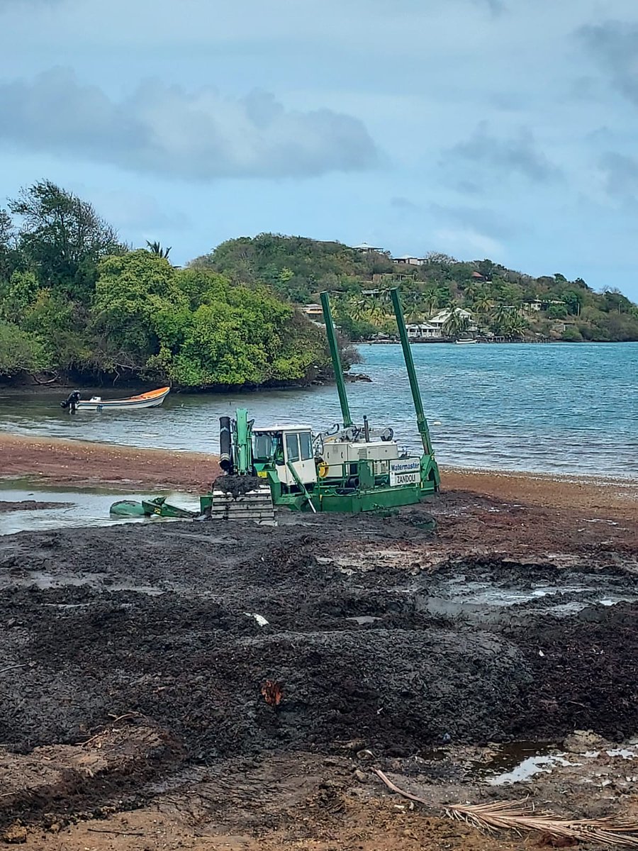 Prefet972's tweet photo. Visite à la pointe Thalémont au François, du chantier de collecte de #sargasses par la drague amphibie de la société TTTM, en présence du préfet Stanislas Cazelles. L'occasion de faire le point sur l'implication de l'Etat aux côtés des communes dans la lutte contre ce fléau https://t.co/qY2ZeWLEC7