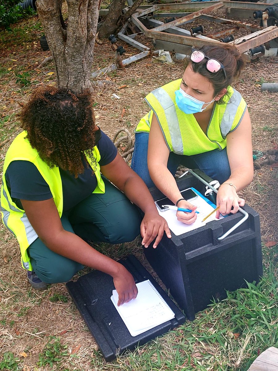 Visite à la pointe Thalémont au François, du chantier de collecte de #sargasses par la drague amphibie de la société TTTM, en présence du préfet Stanislas Cazelles. L'occasion de faire le point sur l'implication de l'Etat aux côtés des communes dans la lutte contre ce fléau