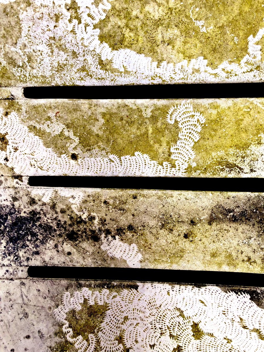 AndUnd21's tweet photo. The feeding trail of a slug
#GardenFurniture #AfterWinter #SpringClean #Abstract #Slugs #Art #Photography https://t.co/3d6r75QzDC