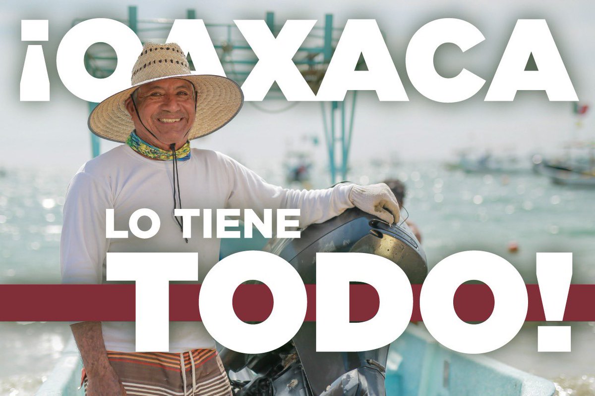 Salomón Jara Cruz tweet media