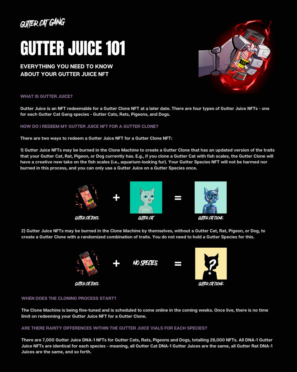 Gutter Cat Gang tweet media