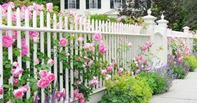 David Lucas tweet media