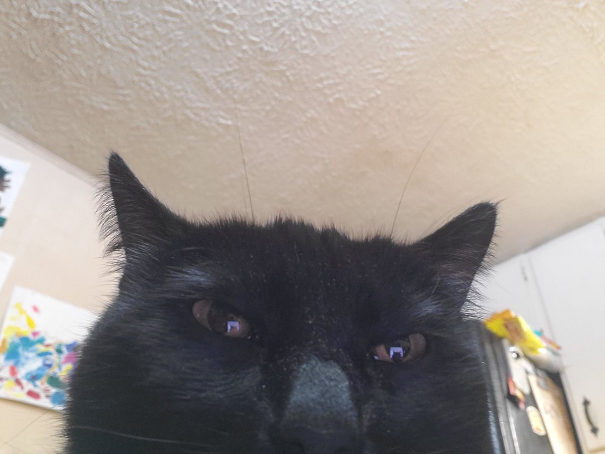 needleNIX tweet media