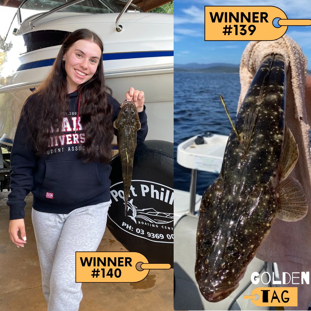 VicFisheries's tweet photo. More lucky fishers have had great days on the water at Mallacoota recently, with ripper catches of Golden Tag dusky flathead!

Gemma and Nicole both landed duskies worth $2,000 on recent Mallacoota fishing trips.

#goldentag #visitvictoria #duskyflathead #mallacoota https://t.co/D42DbonpqZ