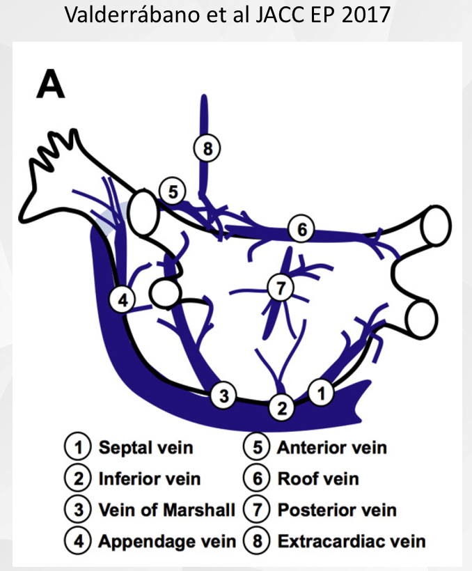 Take Ktmr Take Ktmr Twitter