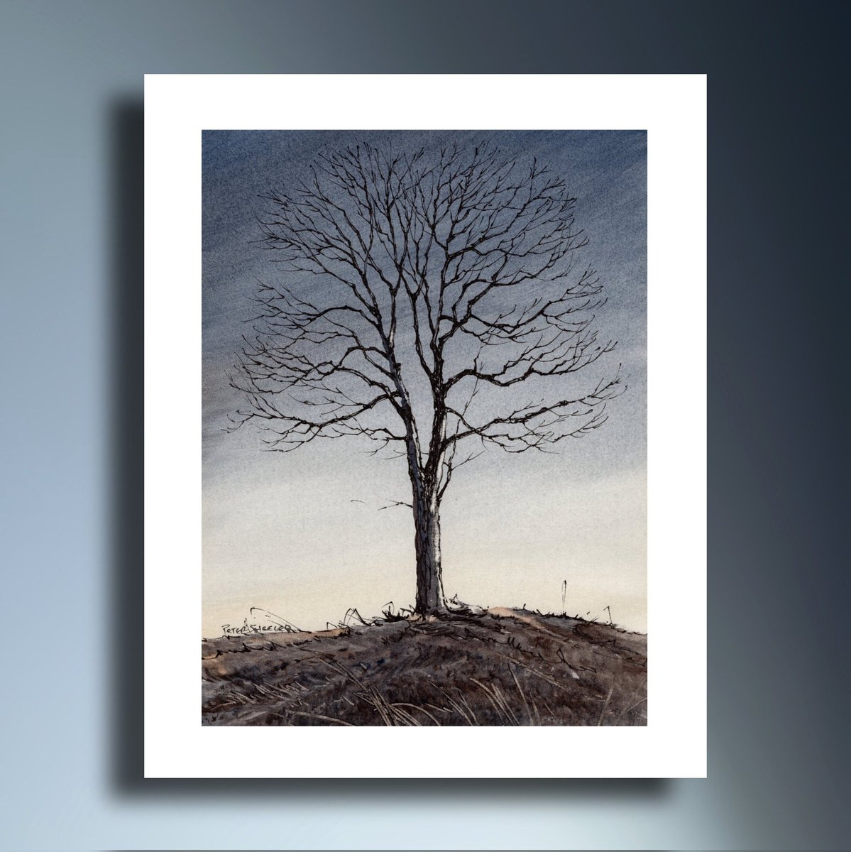 sheelerart's tweet photo. Autumn Tree Watercolor Print and Art Greeting card, Now in my Etsy store. #Nature, #Landscape, #Maple #tree #Sunset #Sheelerart #dusk #countryside

 https://t.co/2snzha50rN https://t.co/CgD9VSBvfe