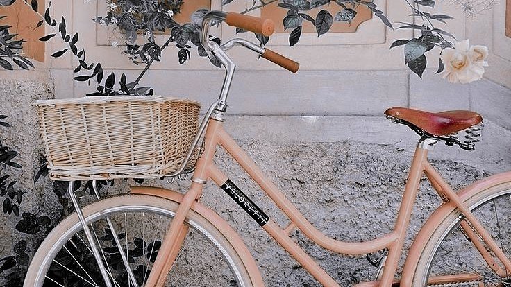 ⊱┊  you want a revolution i want a 𝐫𝐞𝐯𝐞𝐥𝐚𝐭𝐢𝐨𝐧. 
                     —  𝑖𝑠𝑎𝑏𝑒𝑙𝑙𝑒 𝑏𝑎𝑛𝑛𝑒𝑟
                     —  ↻ + ♡