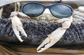 Weinagawd's tweet photo. Rambo aint got nothing on cheese.
#cheese $crab #crab $btc #glasses #vroom #saber #fate #FGO https://t.co/trhctQRSPy