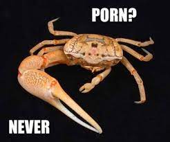 Weinagawd's tweet photo. No porn, No sex
#help https://t.co/J5DMACaVVT
