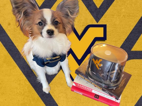 esbernardes's tweet photo. #WVUDayofGiving ⁦@wvuchambers⁩ https://t.co/LfpP31qcB3