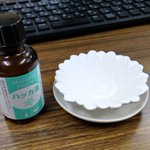 花いろどりの宿花游|かゆう【公式】南紀太地のツイート画像
