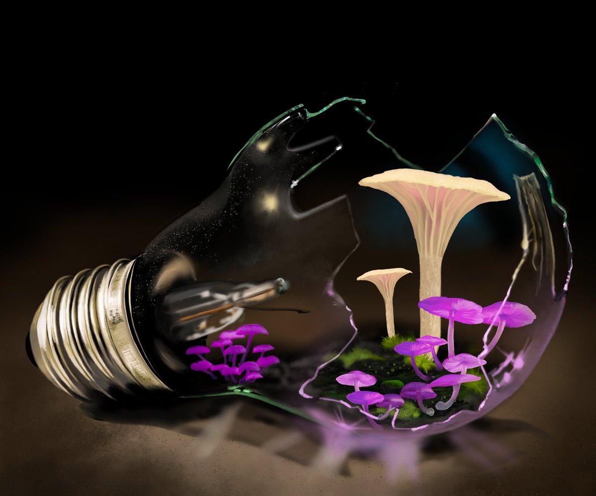 @beer_brat If you are looking for something different check out these two CNFT Artist: 

<a href="/AnnaHymas/">Anna Hymas Artist</a> is more of a traditional artist with a collection of 6 series and more to come.

<a href="/zanti_zanti7/">zanti</a> <a href="/RustInPeaceNFT/">Rust In Peace</a> is more of a realism artist with collection of 2 with the 3rd on its way.