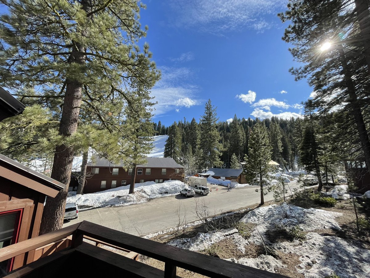 Steve Ludtke tweet media