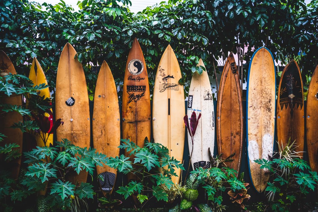 KumuKahua's tweet photo. This month's #GoTryPlaywrite theme is a winner: Submit a 5-page #monologue or a 10-page scene based on a confrontation between Hawai‘i locals and spring breakers surfing out on the ocean in Waikīkī. https://t.co/O0EWC3M3MN