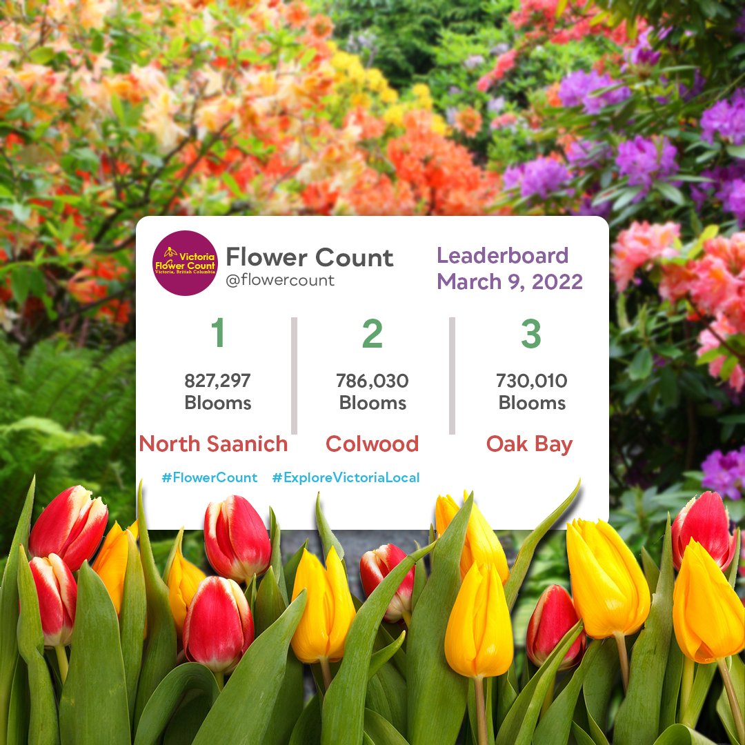 FlowerCount's tweet photo. And with that, day 1 of #FlowerCount is a wrap! 💐
With over 2 million blooms counted so far, the race is on between North Saanich, Colwood, and Oak Bay. Who will emerge victorious as Greater Victoria's Bloomingest Community? #ExploreVictoriaLocal https://t.co/rfLJJxWXoP