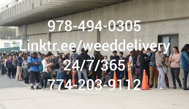 weeddrones's tweet photo. 774-203-9112 https://t.co/1TxsJBxgsv 
Mass Cannabis Delivery
Dracut Pizza Delivery
Lowell Pizza Delivery Boston Cannabis Delivery https://t.co/38FAmtarRD