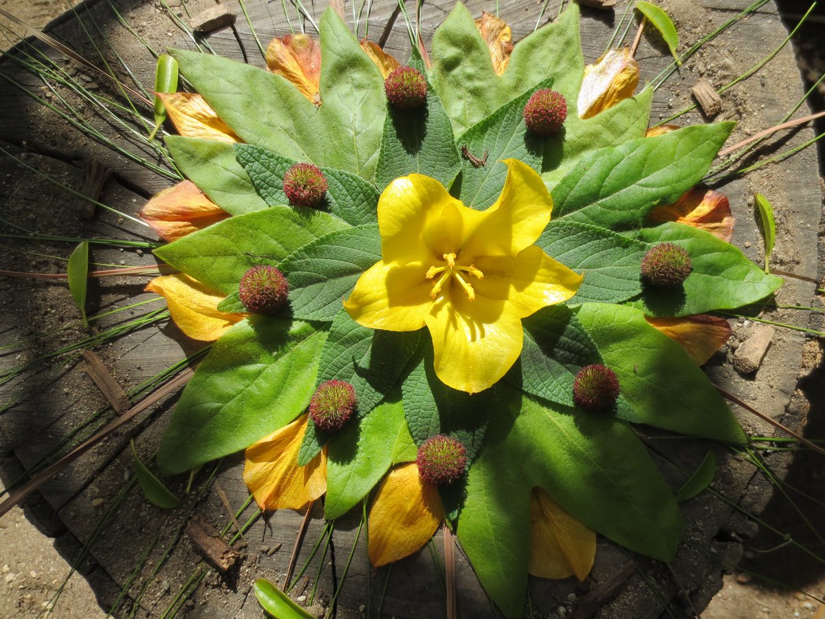 EnviroCharterSchools tweet media