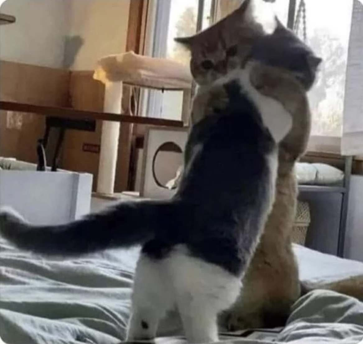 Guarromantico_'s tweet photo. Mi amorcito y yo después de discutir por una hora. https://t.co/5GMRIkEKl4