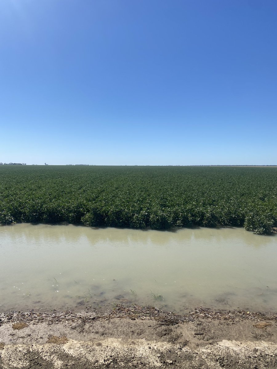 Liam Whitbourne tweet media